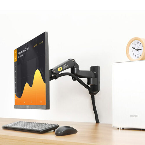 Monitor Wall Mount F120