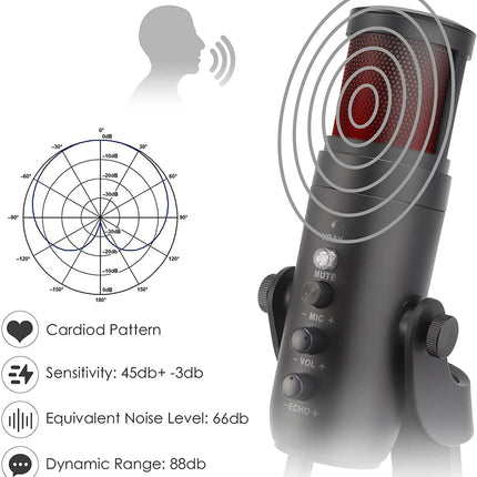 MICROPHONE JMARY MC-PW 9