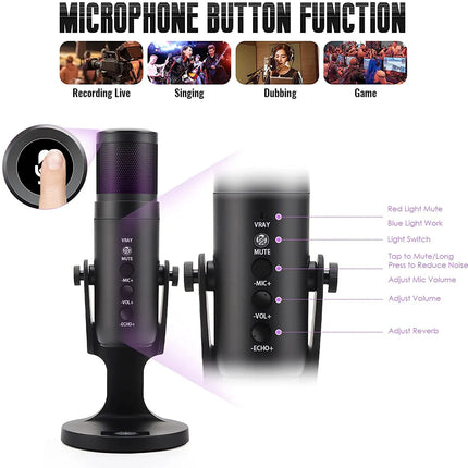 MICROPHONE JMARY MC-PW 9