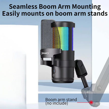 MICROPHONE JMARY MC-PW 13