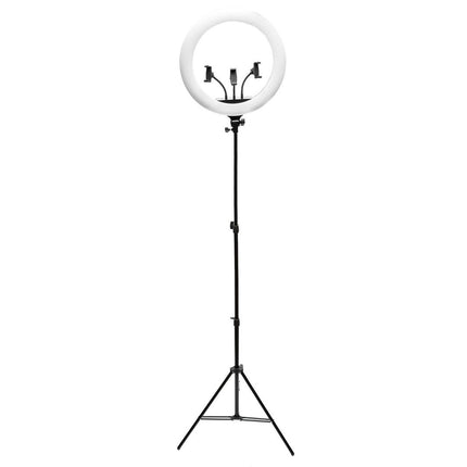 RING LIGHT + TRIPPI 2M 45 CM