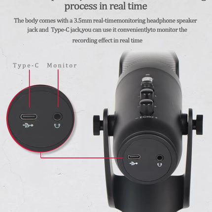 MICROPHONE JMARY MC-PW 9