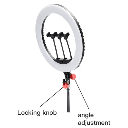 JMARY FM-18R RING LIGHT